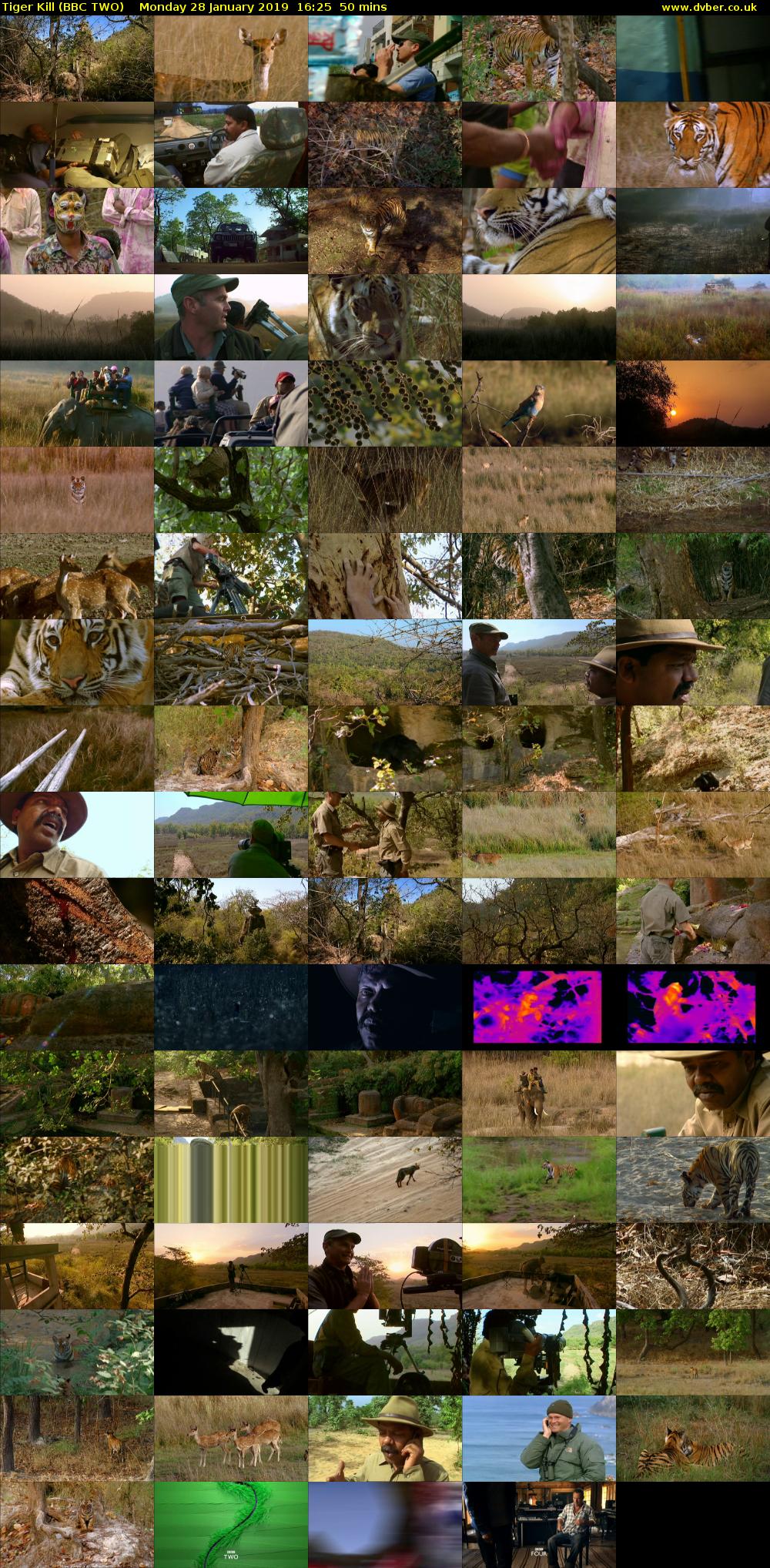 Tiger Kill (BBC TWO) Monday 28 January 2019 16:25 - 17:15