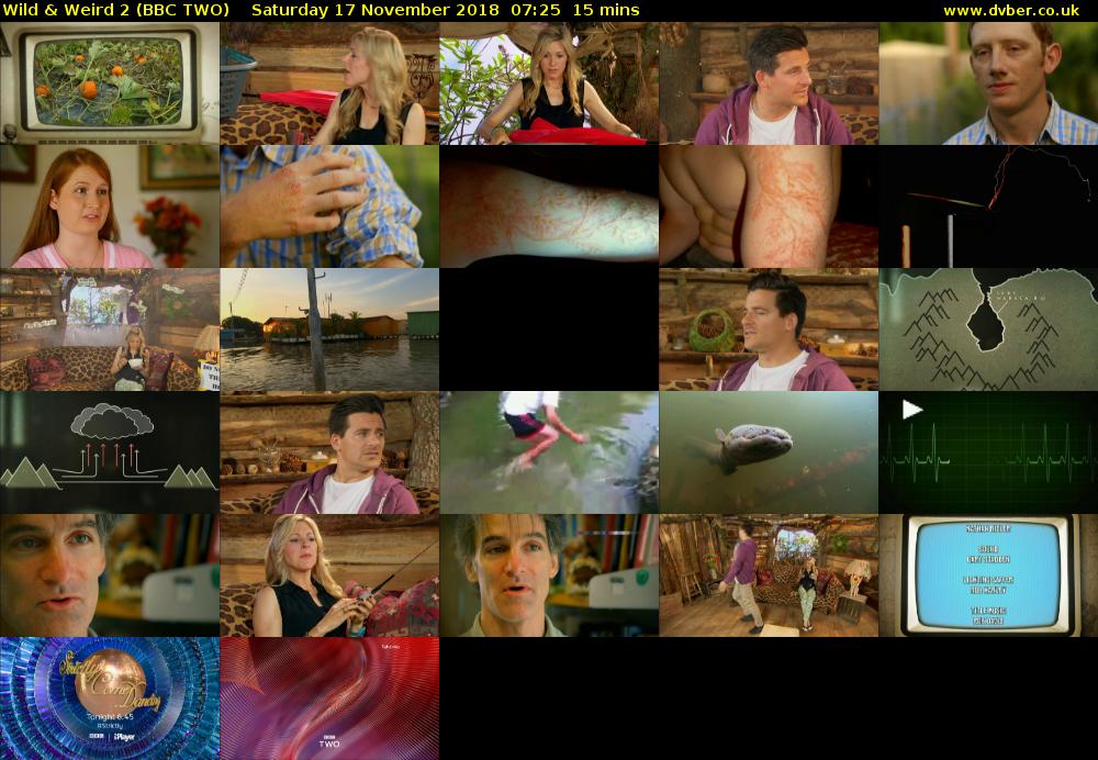 Wild & Weird 2 (BBC TWO) Saturday 17 November 2018 07:25 - 07:40