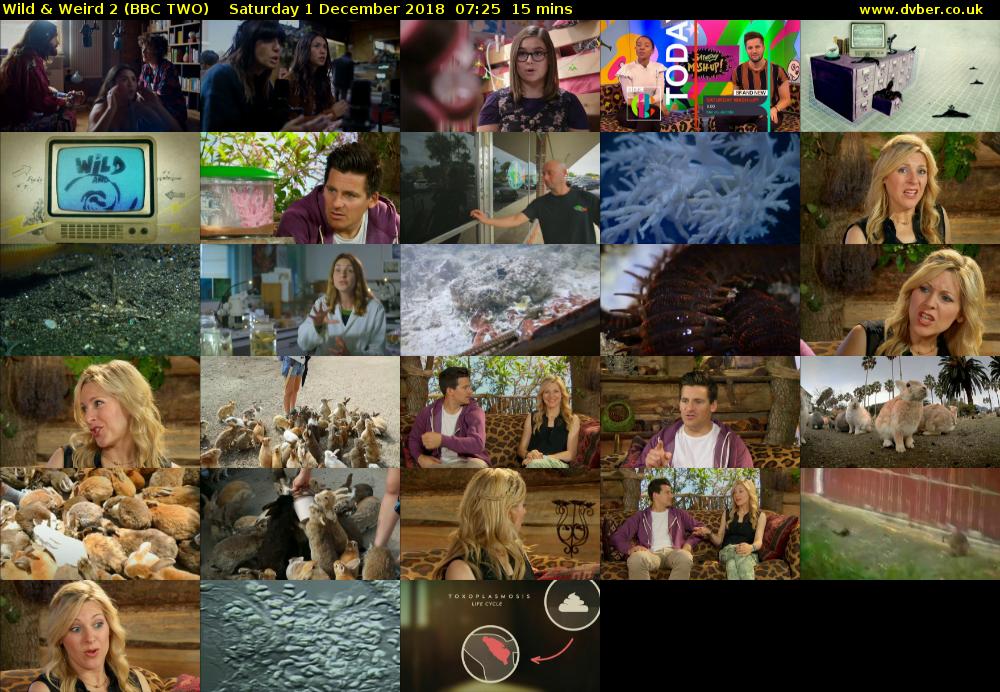 Wild & Weird 2 (BBC TWO) Saturday 1 December 2018 07:25 - 07:40