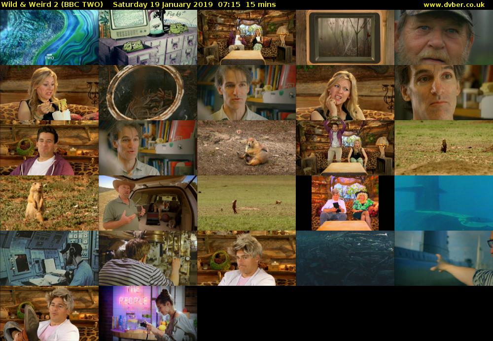 Wild & Weird 2 (BBC TWO) Saturday 19 January 2019 07:15 - 07:30