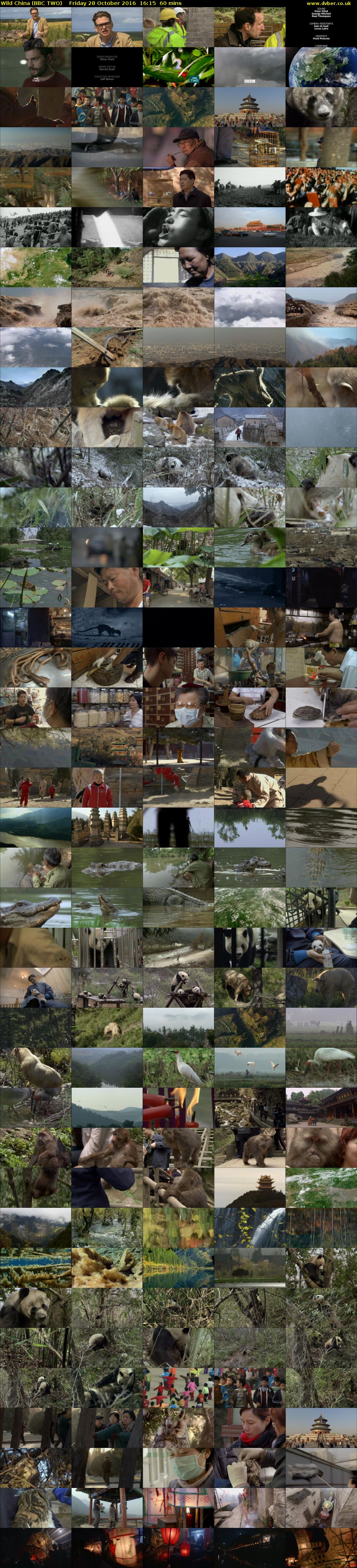 Wild China (BBC TWO) Friday 28 October 2016 16:15 - 17:15