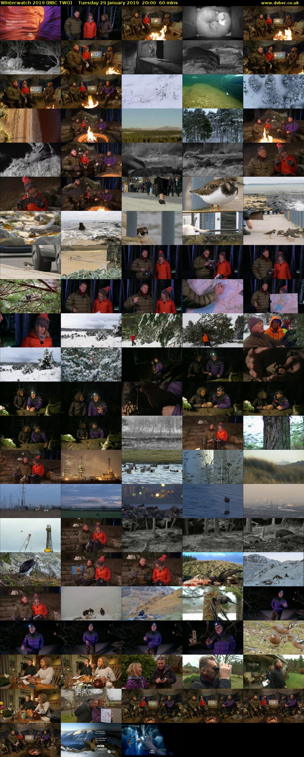 Winterwatch 2019 (BBC TWO) Tuesday 29 January 2019 20:00 - 21:00