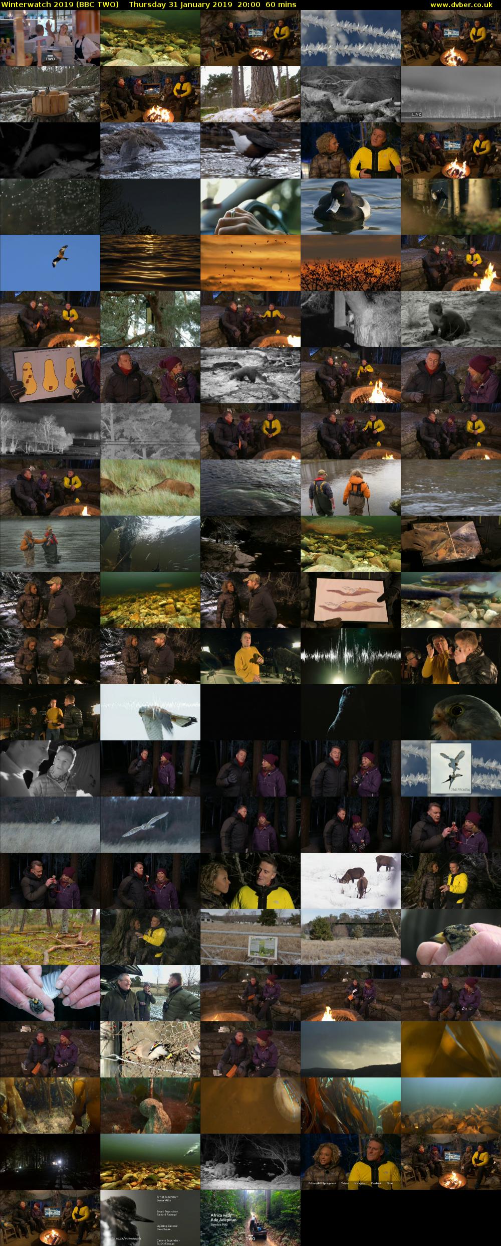 Winterwatch 2019 (BBC TWO) Thursday 31 January 2019 20:00 - 21:00