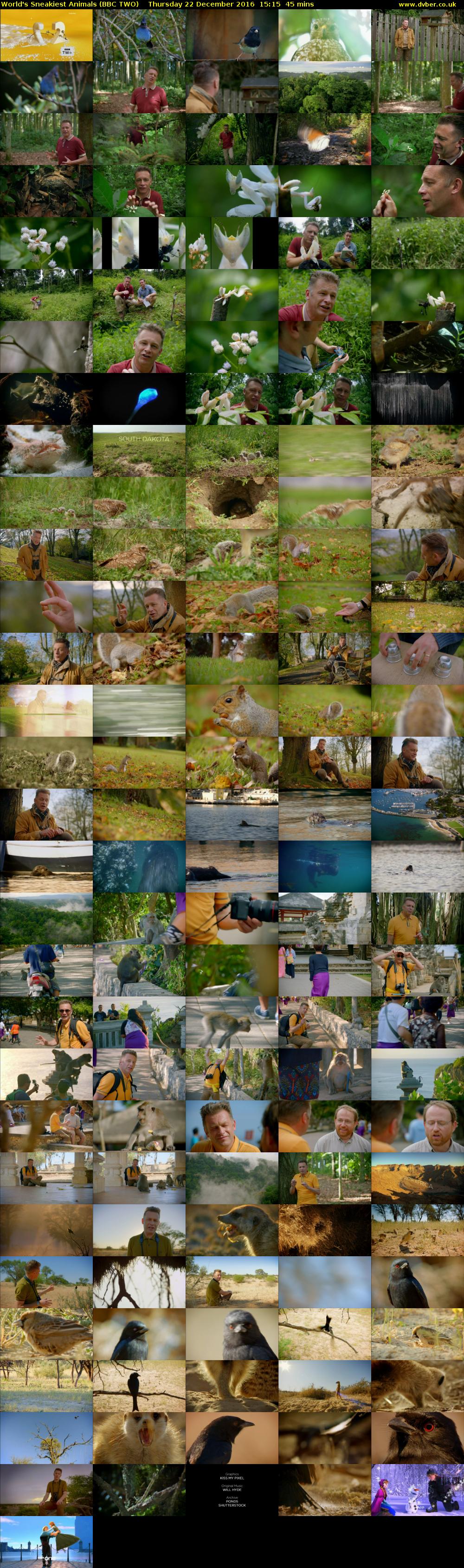 World's Sneakiest Animals (BBC TWO) Thursday 22 December 2016 15:15 - 16:00