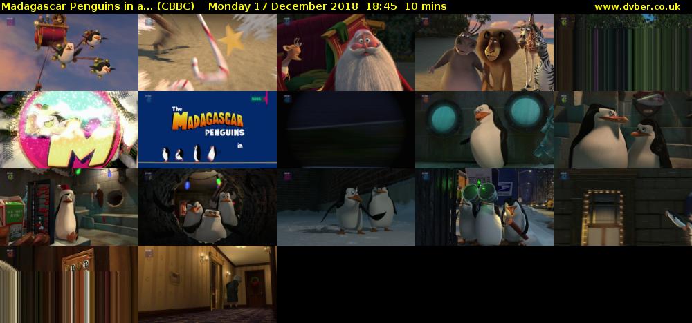 Madagascar Penguins in a... (CBBC) Monday 17 December 2018 18:45 - 18:55