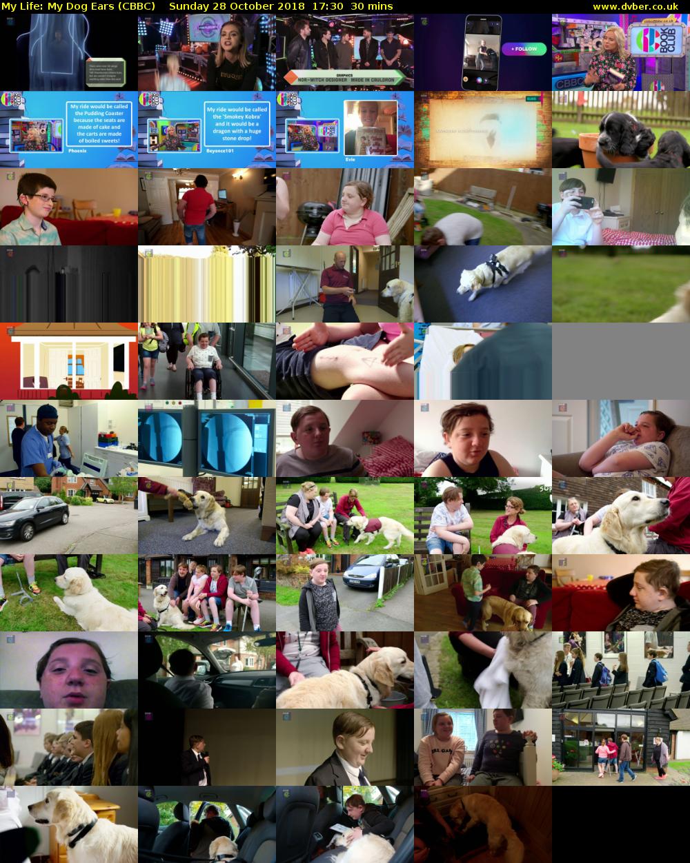 My Life: My Dog Ears (CBBC) Sunday 28 October 2018 17:30 - 18:00