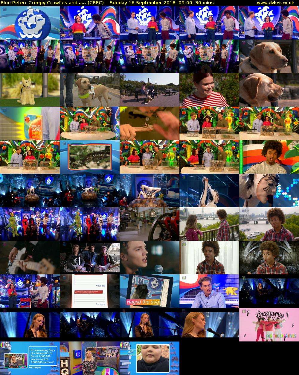 Blue Peter: Creepy Crawlies and a... (CBBC) Sunday 16 September 2018 09:00 - 09:30