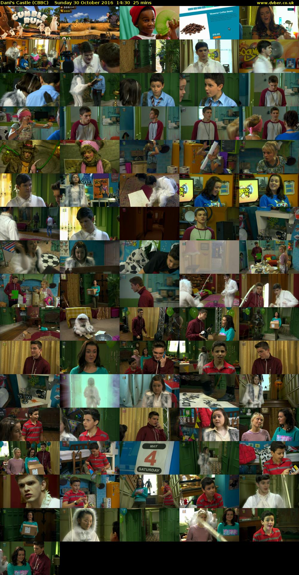 Dani's Castle (CBBC) Sunday 30 October 2016 14:30 - 14:55