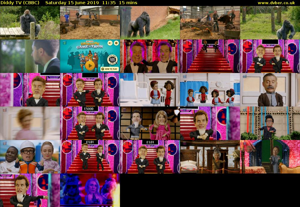 Diddy TV (CBBC) Saturday 15 June 2019 11:35 - 11:50
