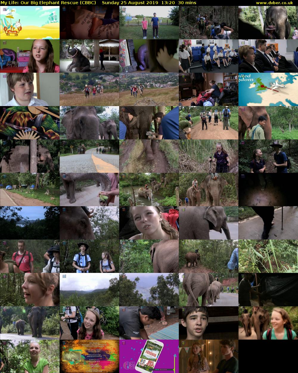 My Life: Our Big Elephant Rescue (CBBC) Sunday 25 August 2019 13:20 - 13:50