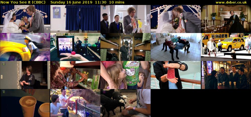 Now You See It (CBBC) Sunday 16 June 2019 11:30 - 11:40