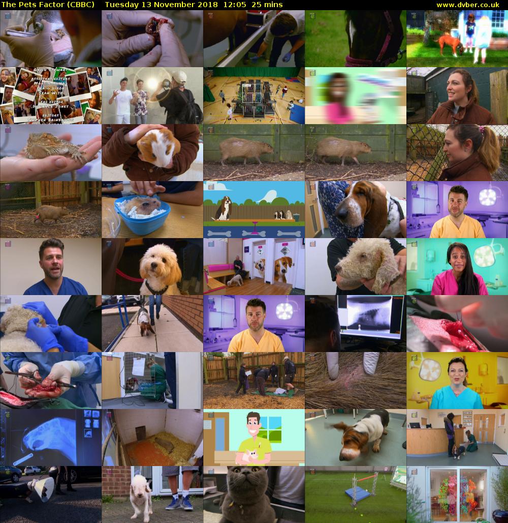 The Pets Factor (CBBC) Tuesday 13 November 2018 12:05 - 12:30