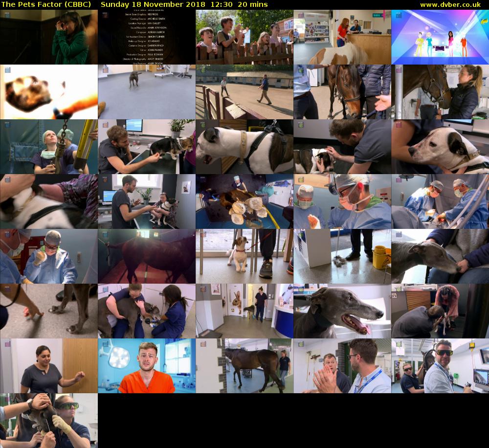The Pets Factor (CBBC) Sunday 18 November 2018 12:30 - 12:50
