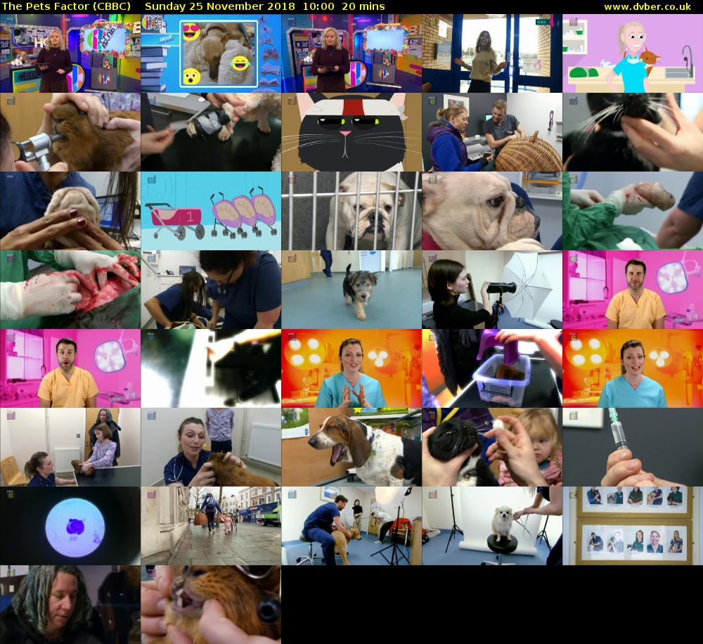 The Pets Factor (CBBC) Sunday 25 November 2018 10:00 - 10:20