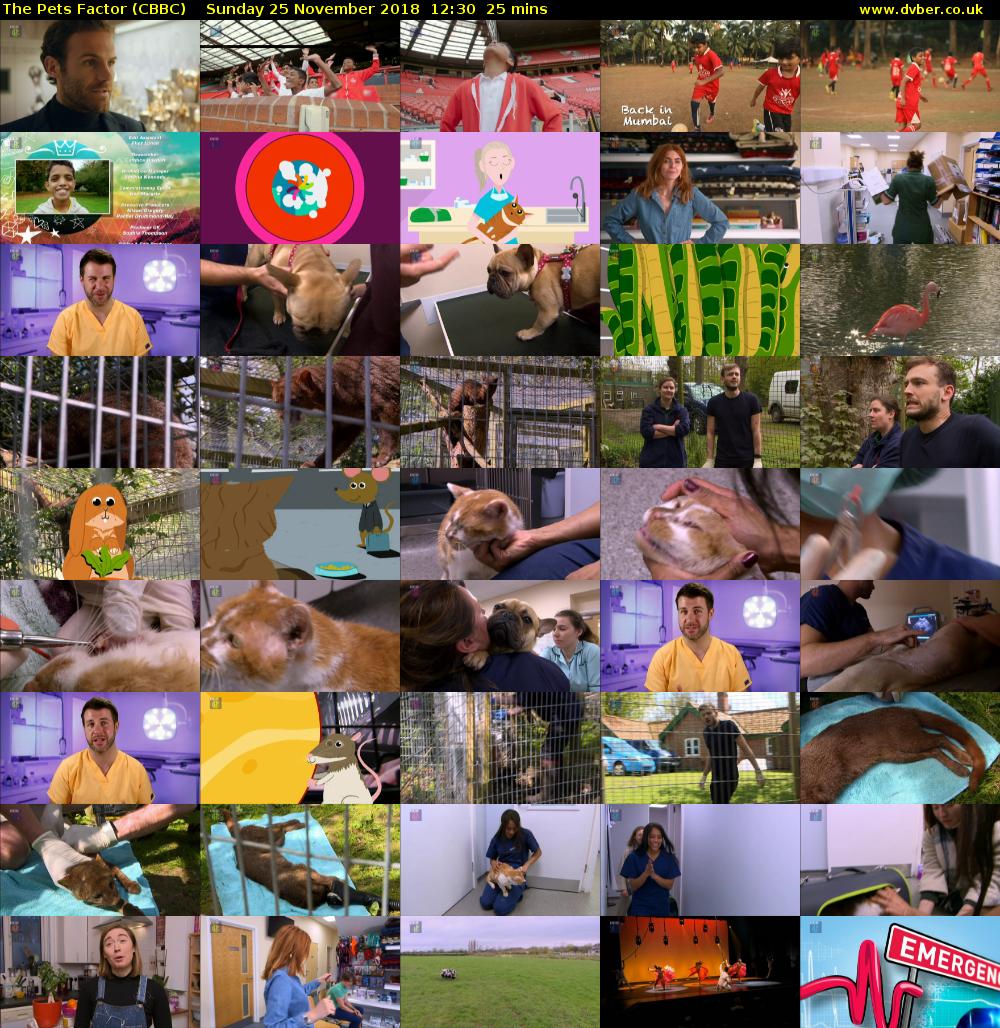 The Pets Factor (CBBC) Sunday 25 November 2018 12:30 - 12:55