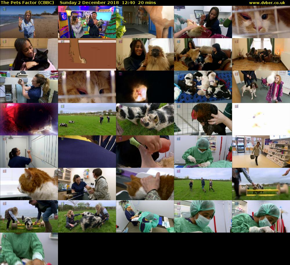 The Pets Factor (CBBC) Sunday 2 December 2018 12:40 - 13:00