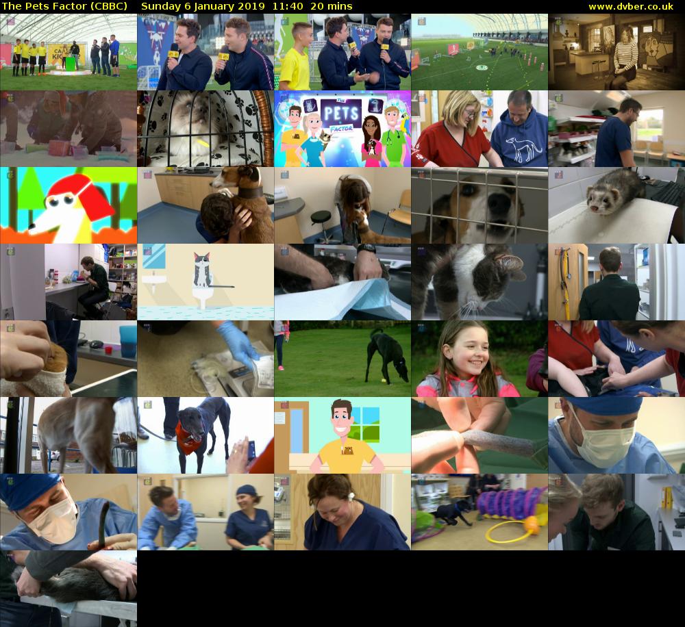The Pets Factor (CBBC) Sunday 6 January 2019 11:40 - 12:00