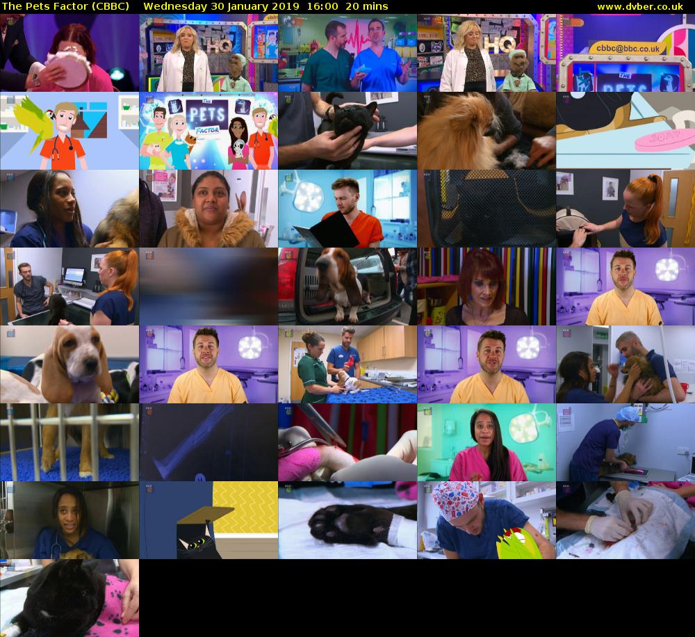 The Pets Factor (CBBC) Wednesday 30 January 2019 16:00 - 16:20