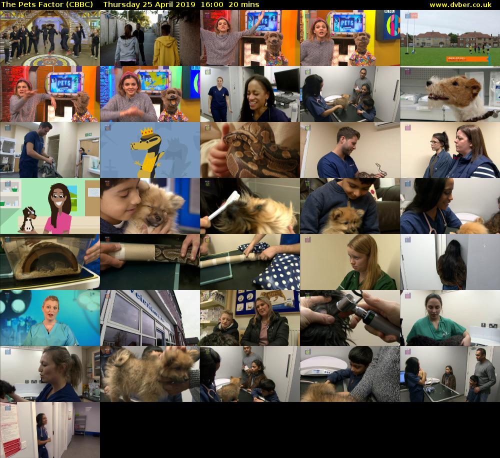The Pets Factor (CBBC) Thursday 25 April 2019 16:00 - 16:20