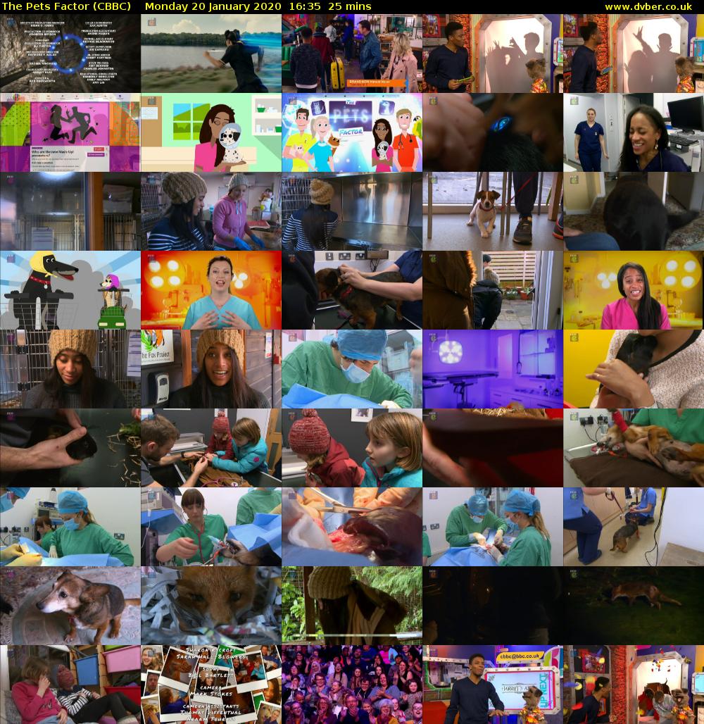 The Pets Factor (CBBC) Monday 20 January 2020 16:35 - 17:00
