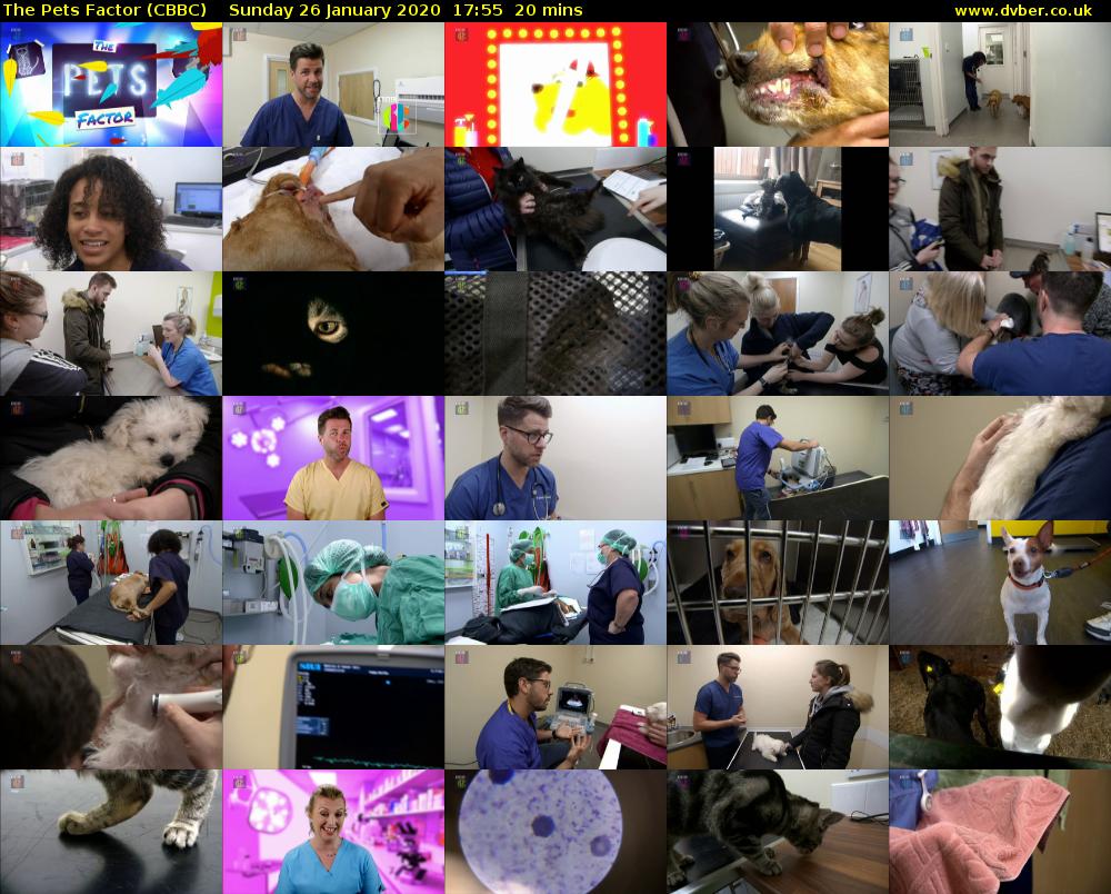 The Pets Factor (CBBC) Sunday 26 January 2020 17:55 - 18:15