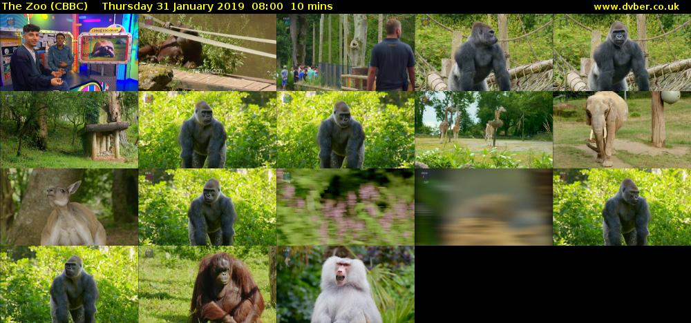The Zoo (CBBC) Thursday 31 January 2019 08:00 - 08:10