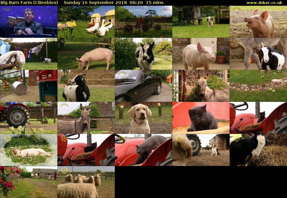 Big Barn Farm (CBeebies) Sunday 16 September 2018 06:20 - 06:35