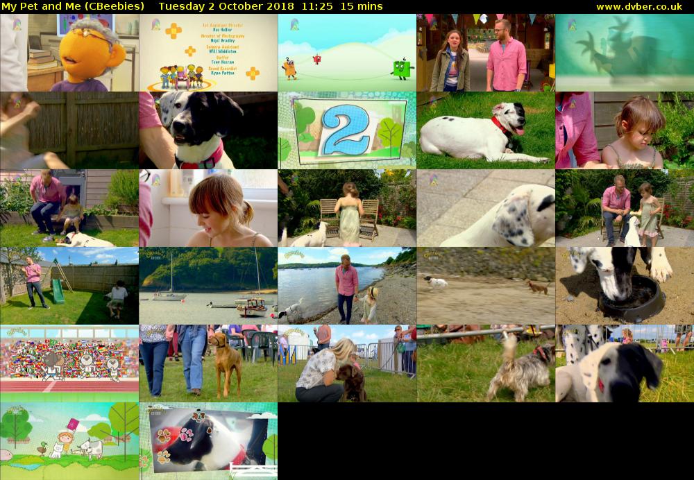 My Pet and Me (CBeebies) Tuesday 2 October 2018 11:25 - 11:40