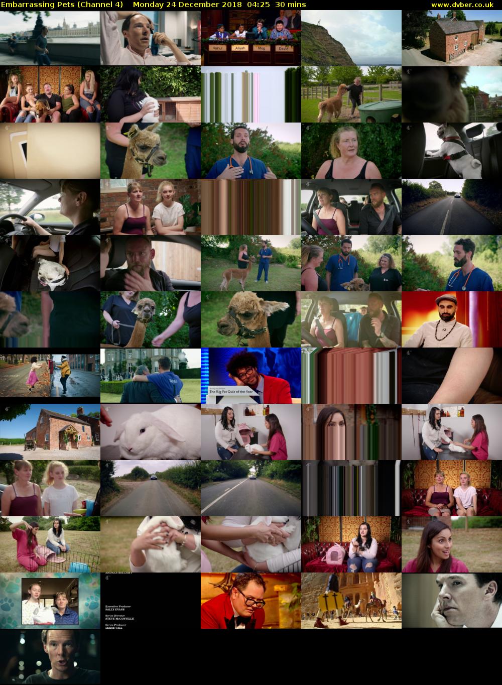 Embarrassing Pets (Channel 4) Monday 24 December 2018 04:25 - 04:55