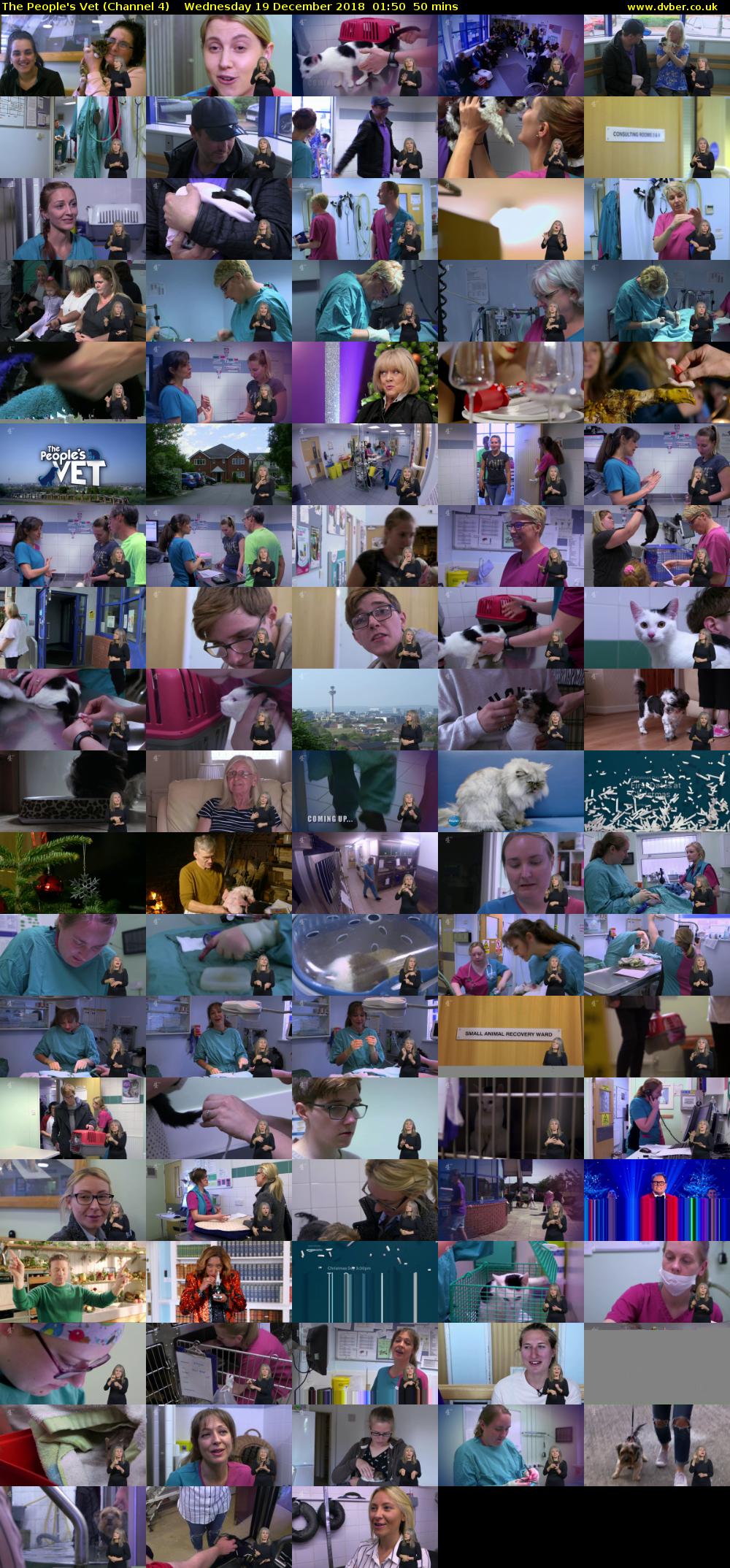 The People's Vet (Channel 4) Wednesday 19 December 2018 01:50 - 02:40