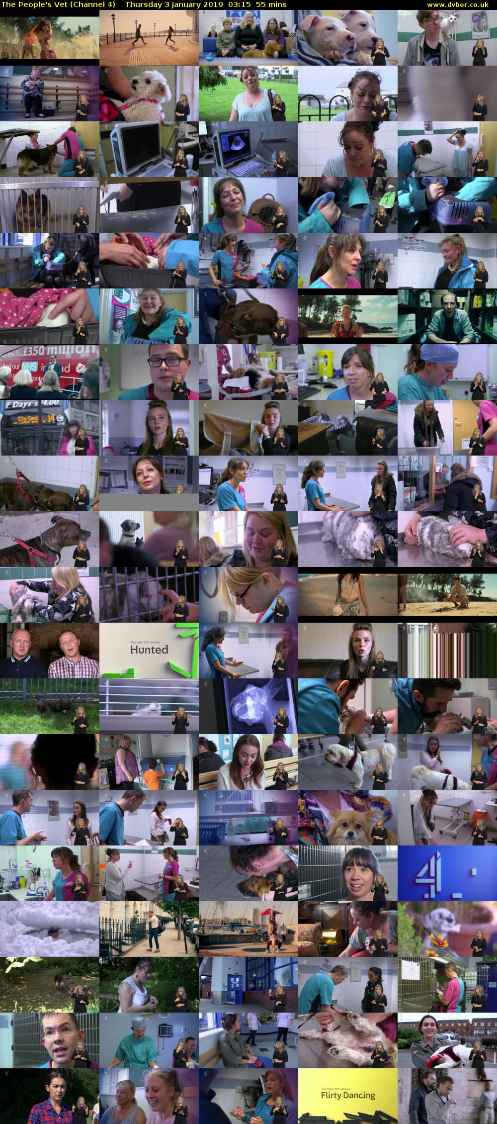 The People's Vet (Channel 4) Thursday 3 January 2019 03:15 - 04:10