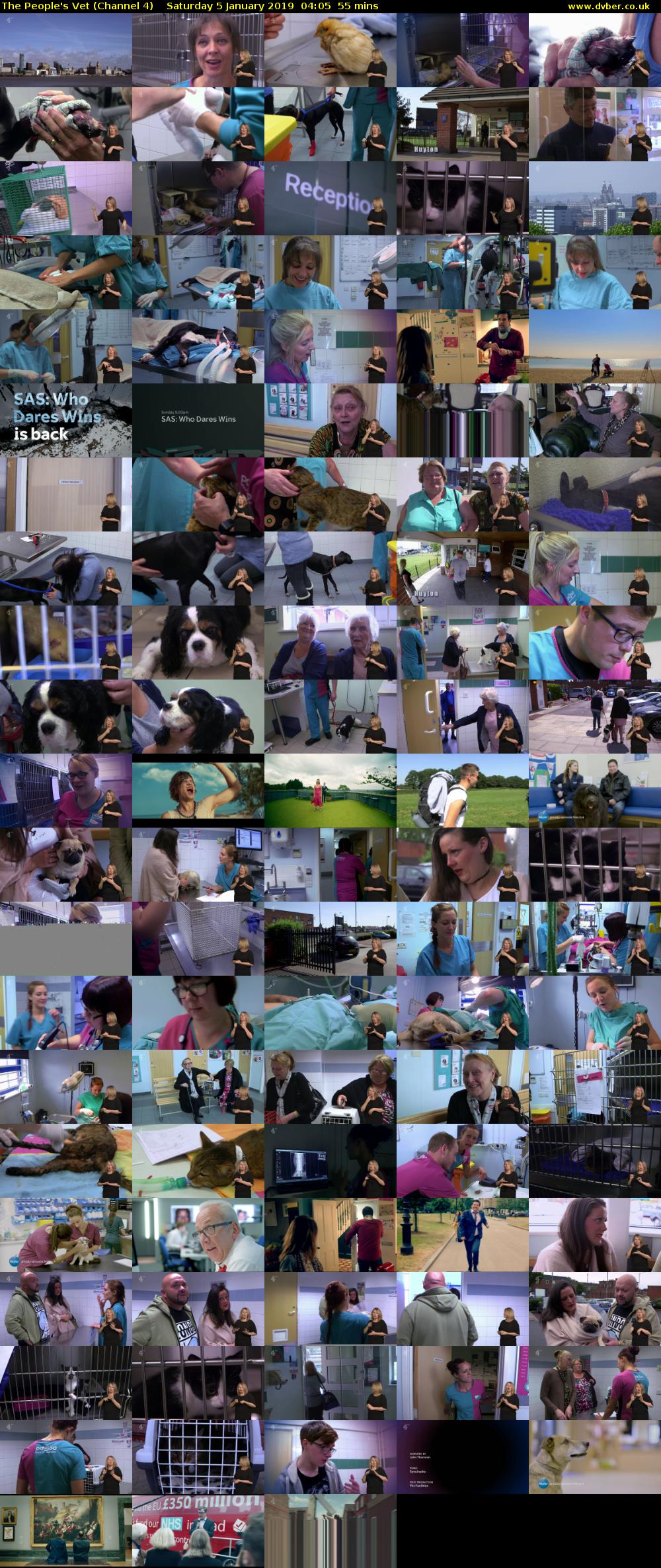 The People's Vet (Channel 4) Saturday 5 January 2019 04:05 - 05:00