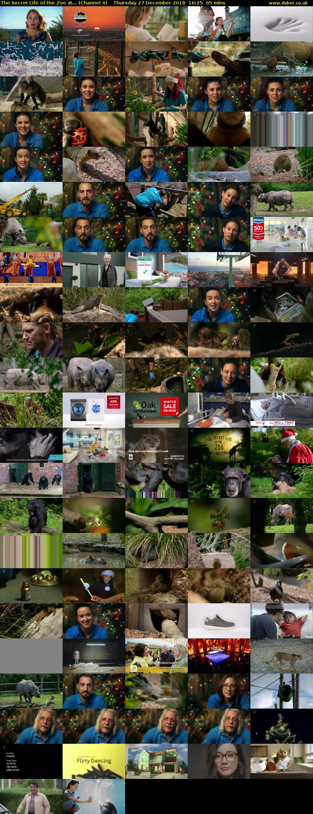 The Secret Life of the Zoo at... (Channel 4) Thursday 27 December 2018 16:25 - 17:30