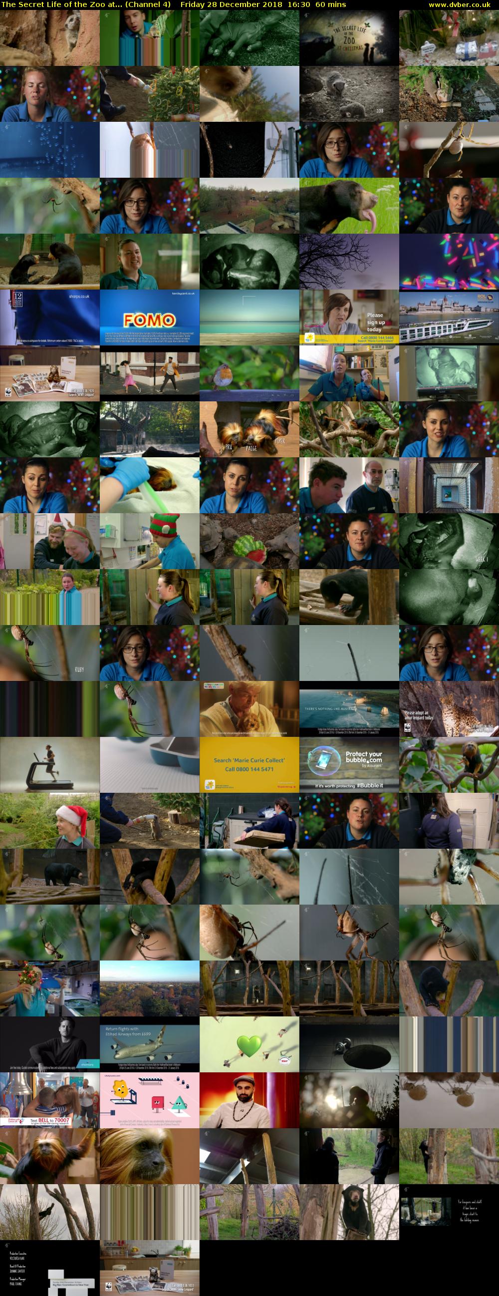 The Secret Life of the Zoo at... (Channel 4) Friday 28 December 2018 16:30 - 17:30