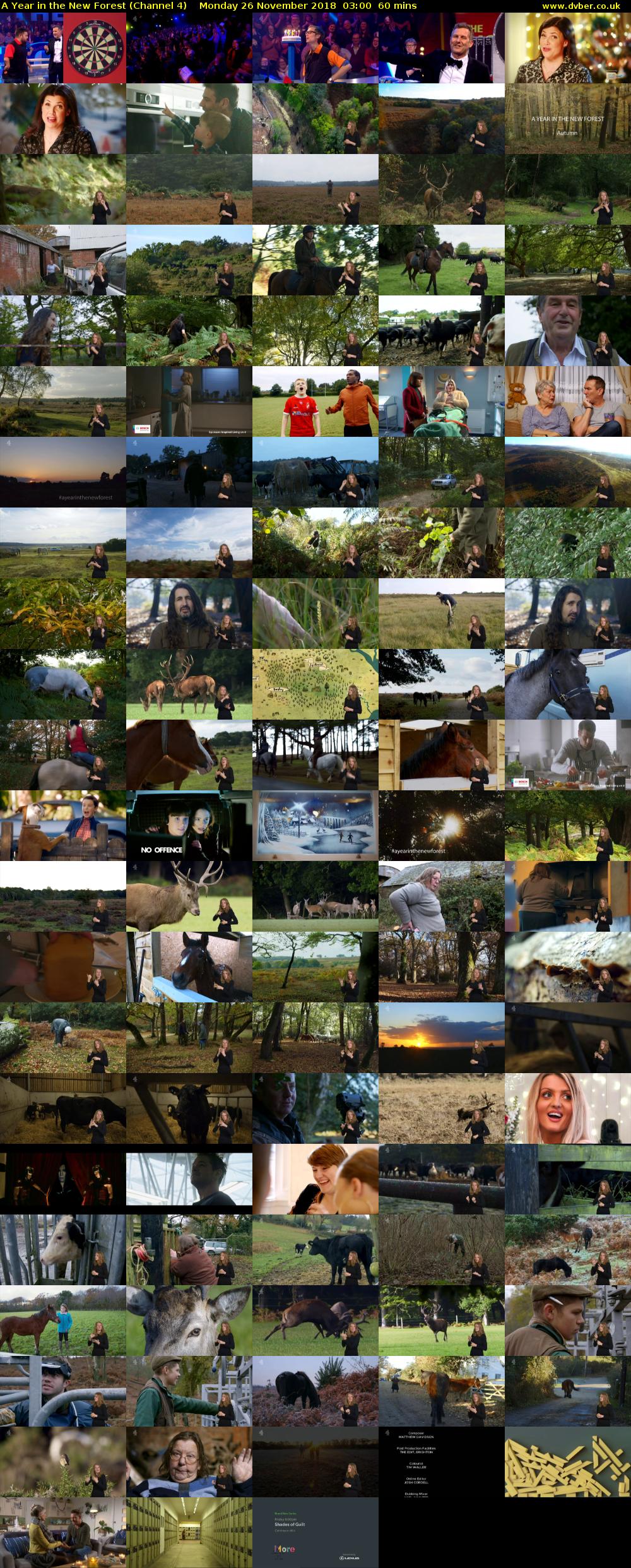 A Year in the New Forest (Channel 4) Monday 26 November 2018 03:00 - 04:00
