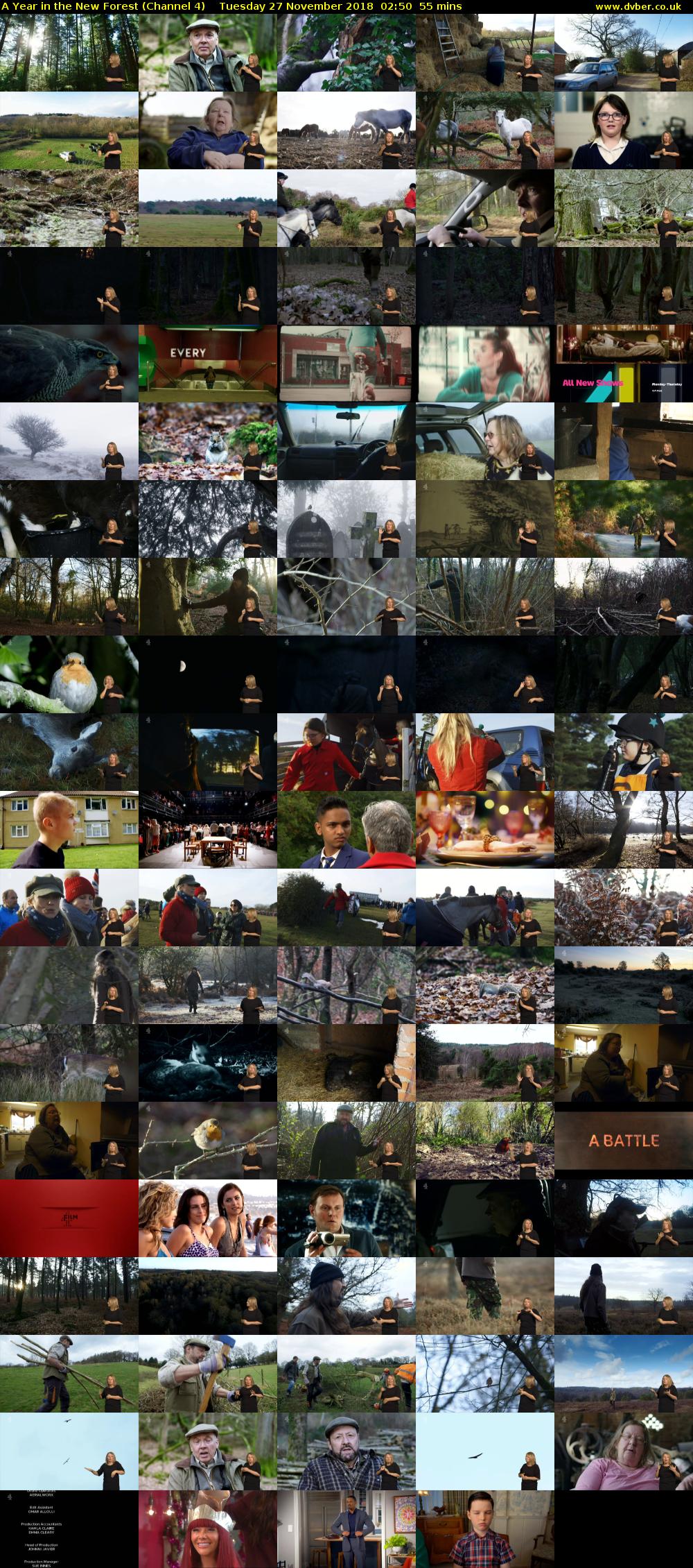 A Year in the New Forest (Channel 4) Tuesday 27 November 2018 02:50 - 03:45