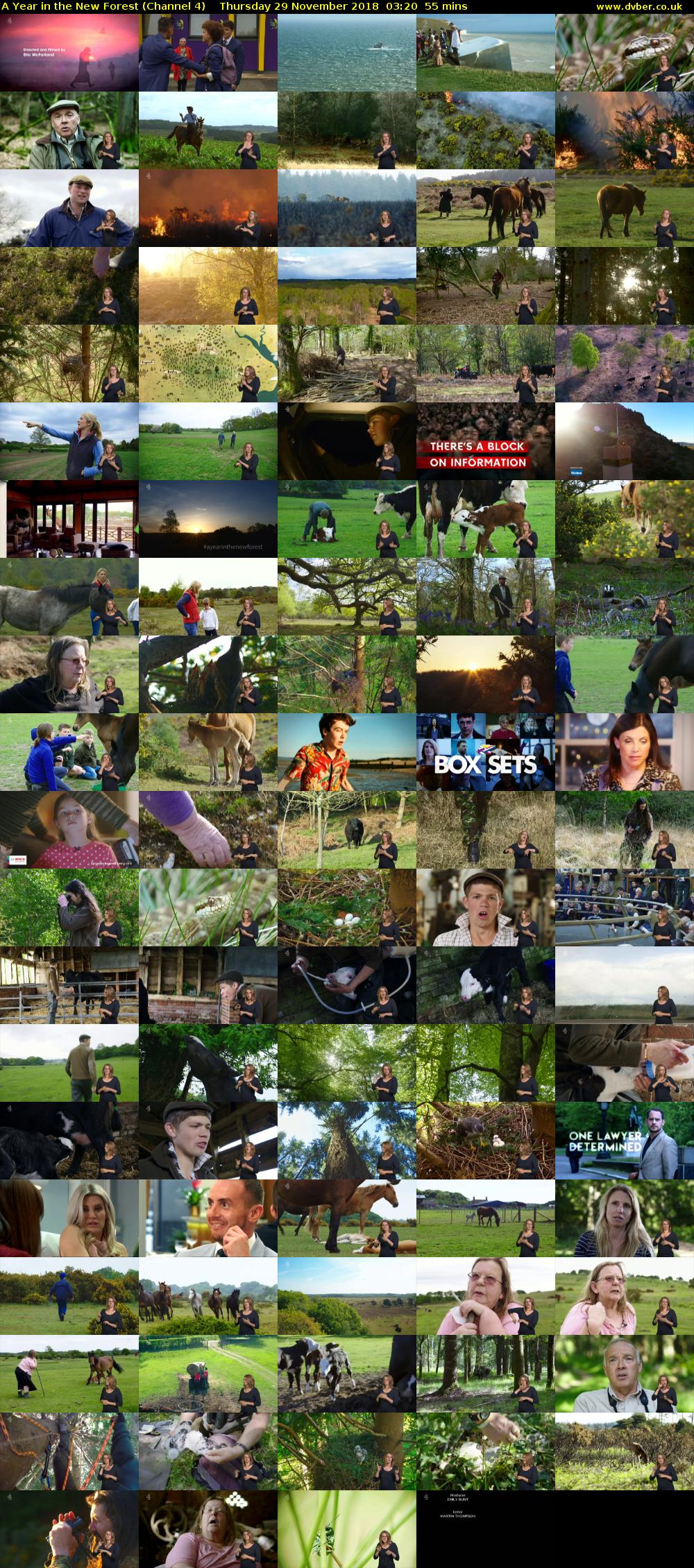 A Year in the New Forest (Channel 4) Thursday 29 November 2018 03:20 - 04:15