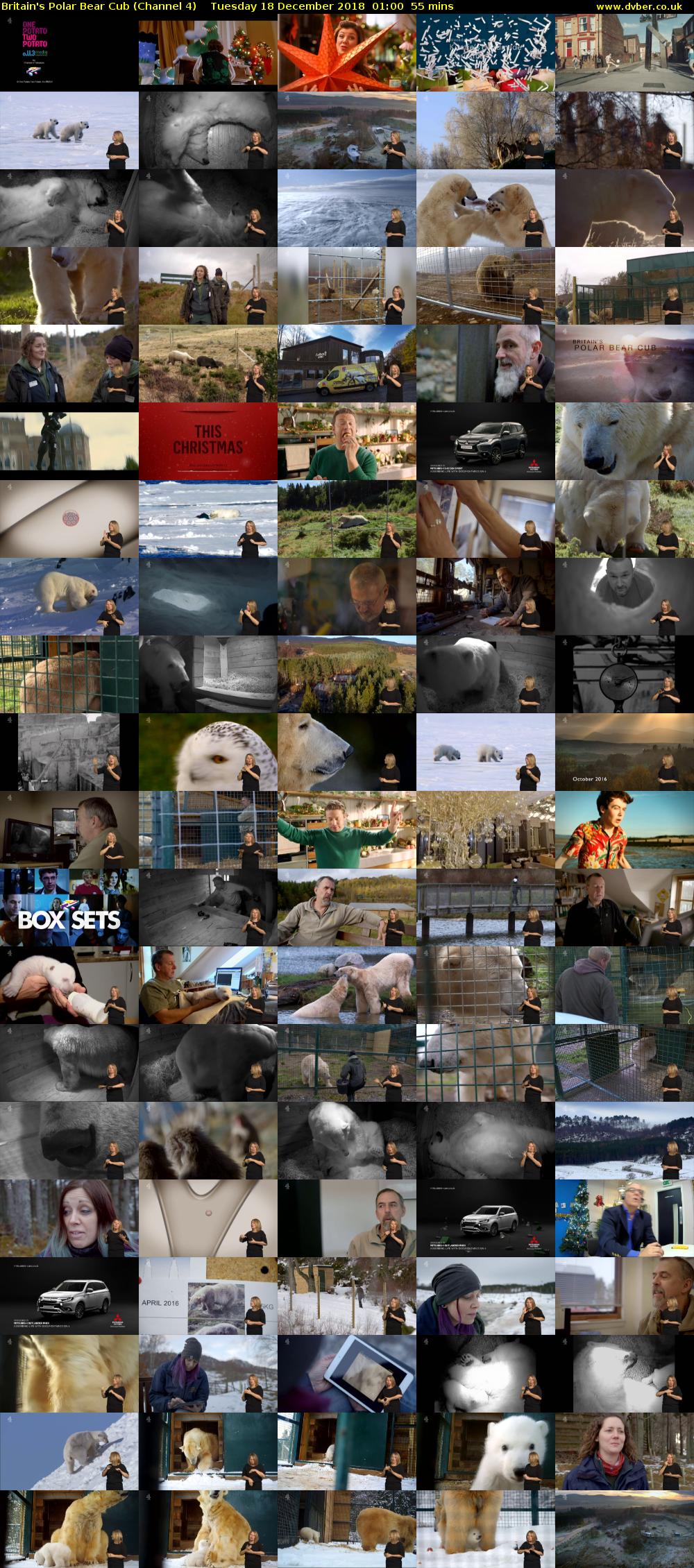 Britain's Polar Bear Cub (Channel 4) Tuesday 18 December 2018 01:00 - 01:55