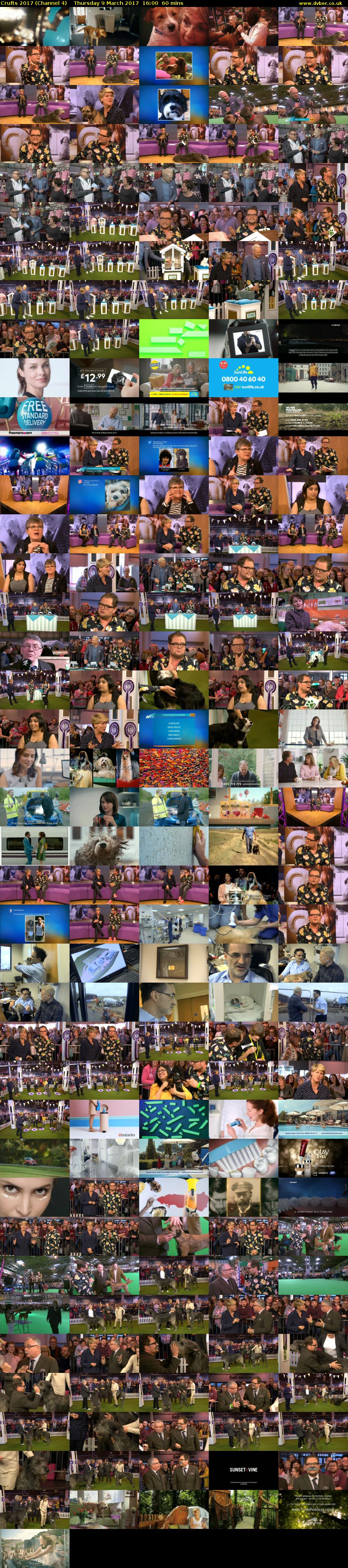 Crufts 2017 (Channel 4) Thursday 9 March 2017 16:00 - 17:00