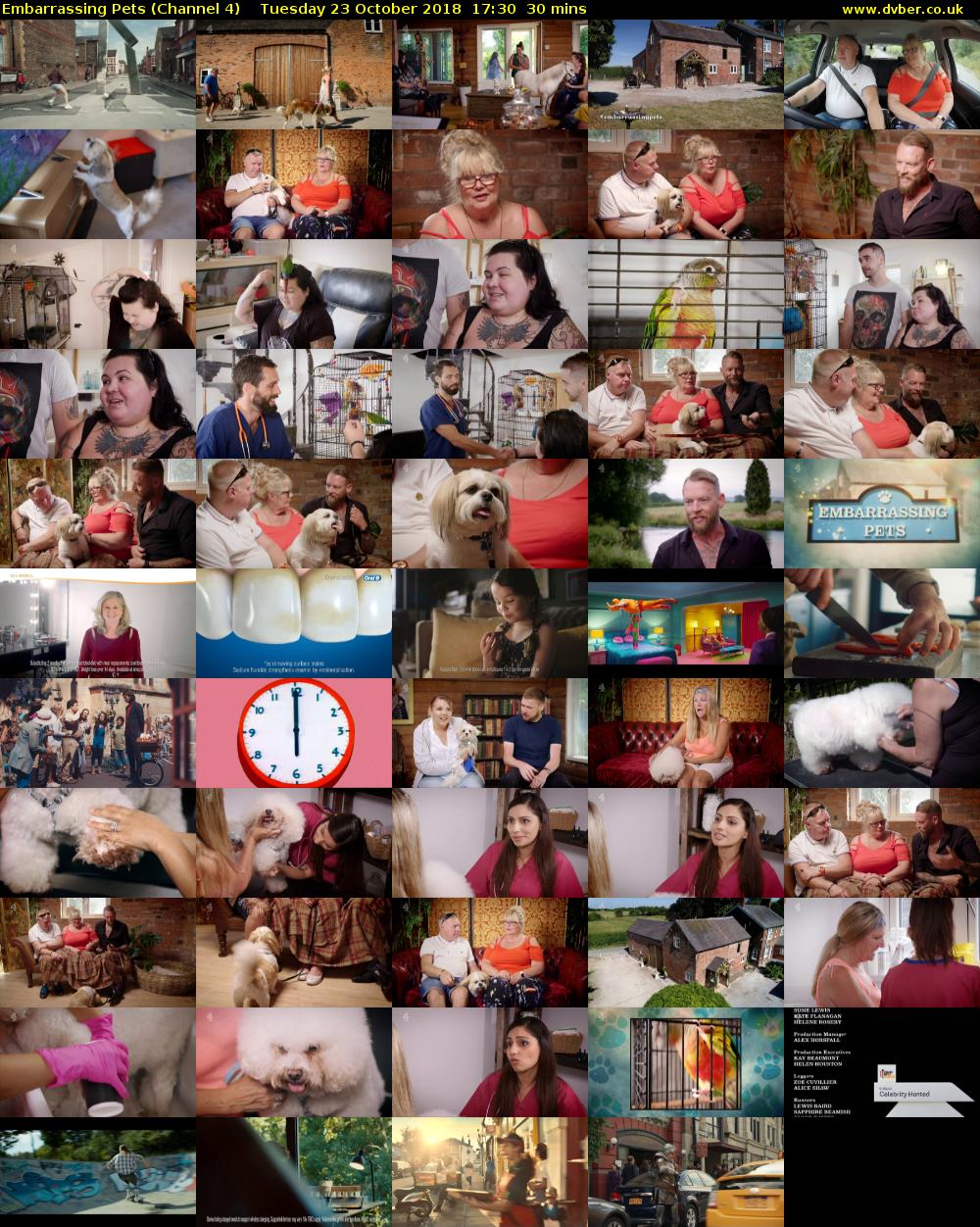Embarrassing Pets (Channel 4) Tuesday 23 October 2018 17:30 - 18:00