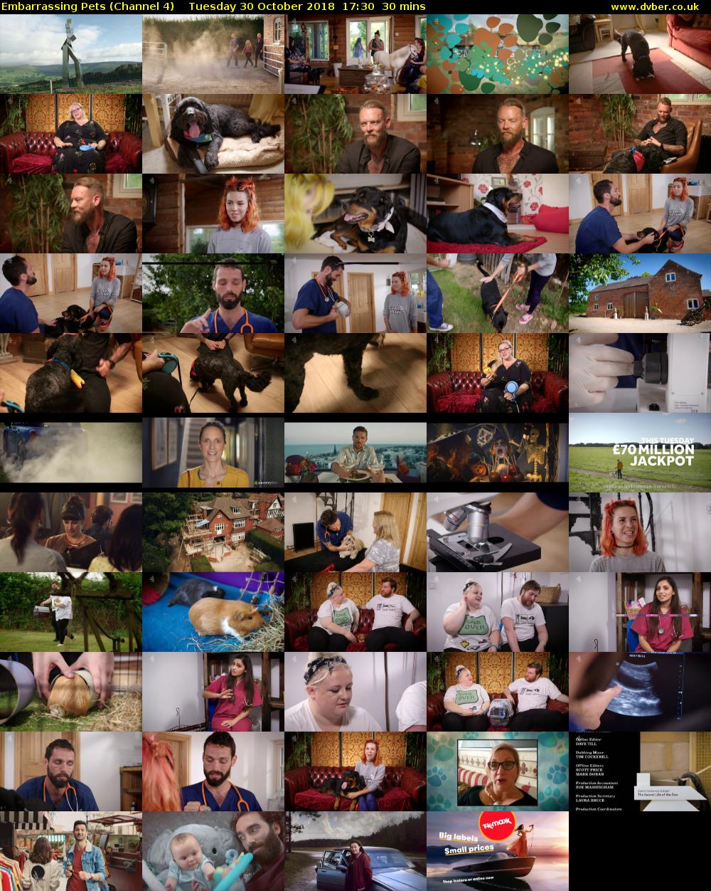 Embarrassing Pets (Channel 4) Tuesday 30 October 2018 17:30 - 18:00
