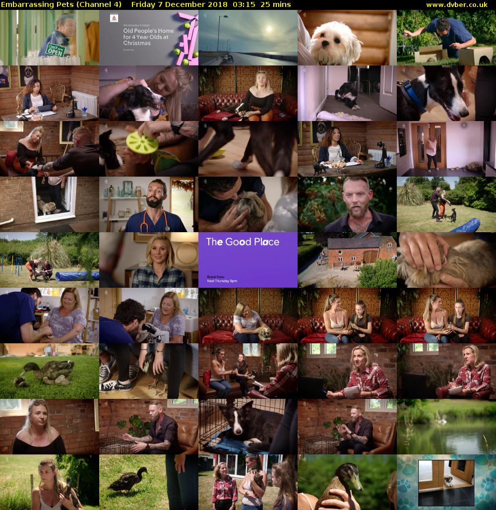 Embarrassing Pets (Channel 4) Friday 7 December 2018 03:15 - 03:40
