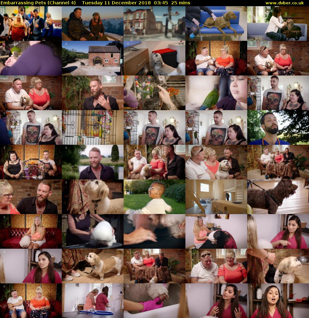 Embarrassing Pets (Channel 4) Tuesday 11 December 2018 03:45 - 04:10