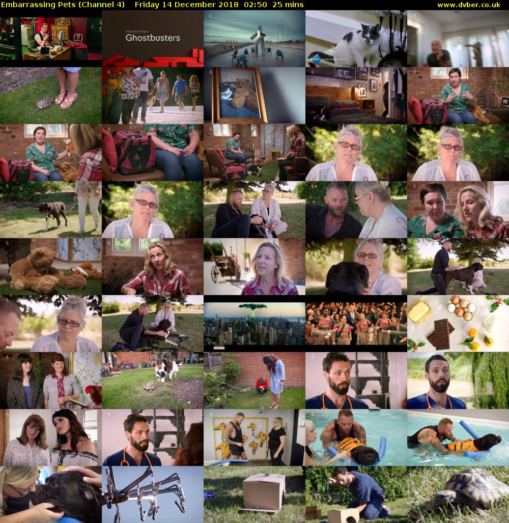 Embarrassing Pets (Channel 4) Friday 14 December 2018 02:50 - 03:15