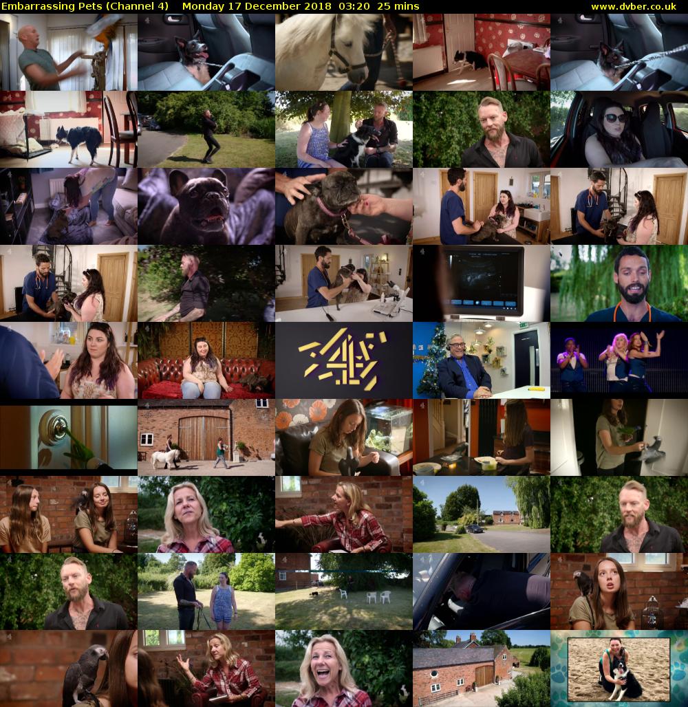 Embarrassing Pets (Channel 4) Monday 17 December 2018 03:20 - 03:45