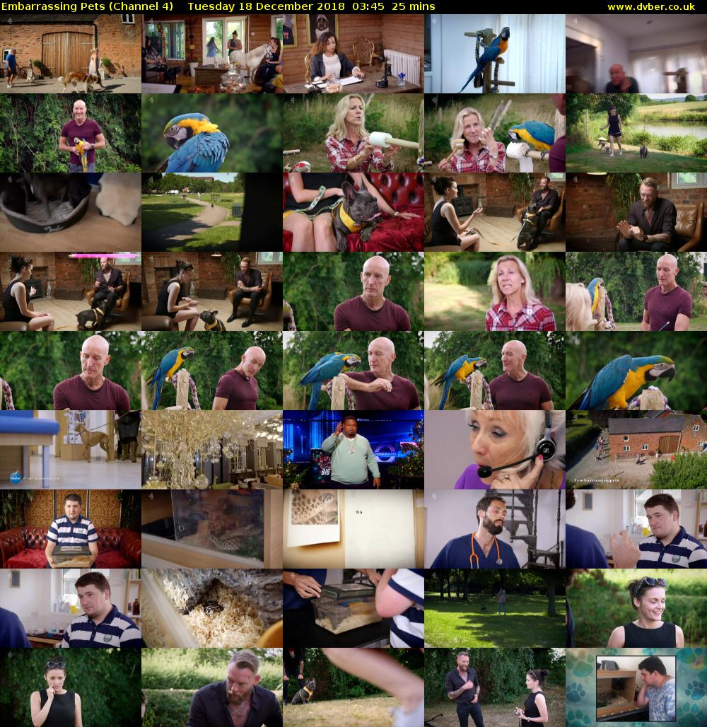 Embarrassing Pets (Channel 4) Tuesday 18 December 2018 03:45 - 04:10