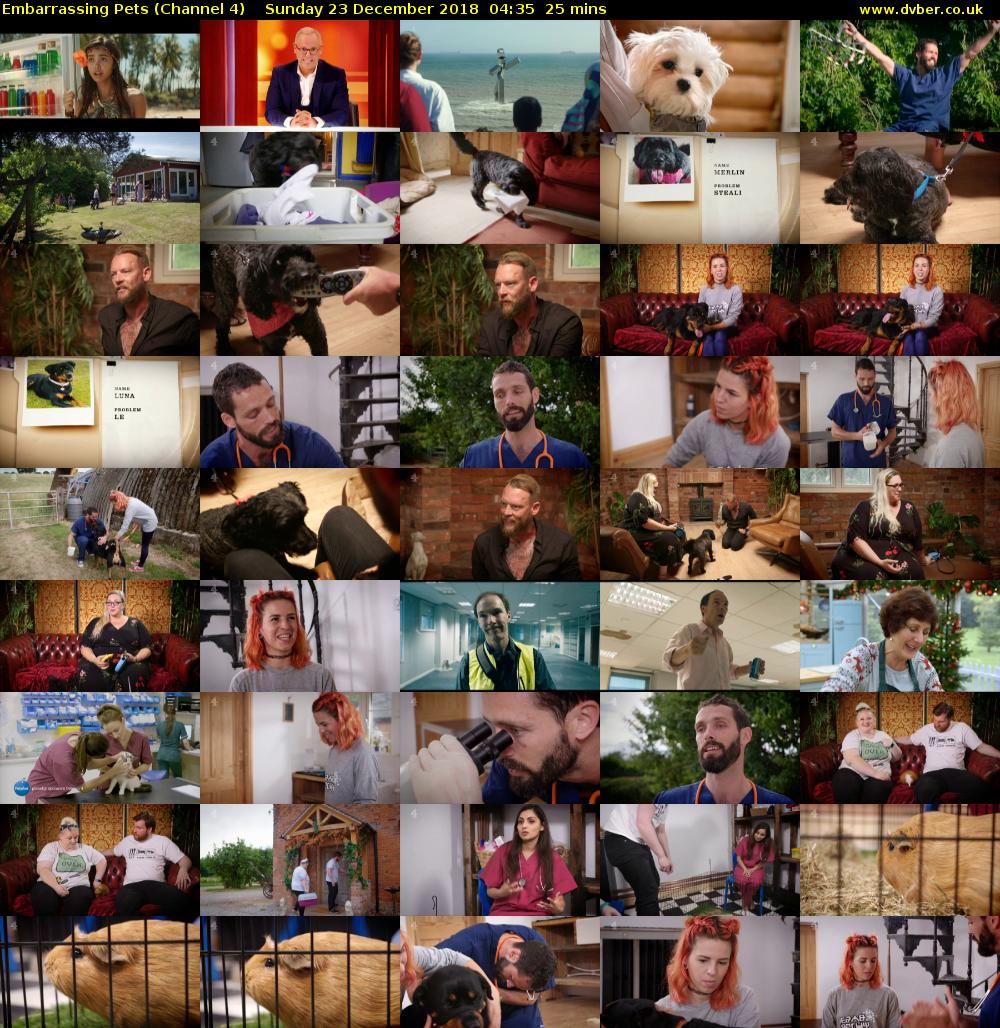 Embarrassing Pets (Channel 4) Sunday 23 December 2018 04:35 - 05:00