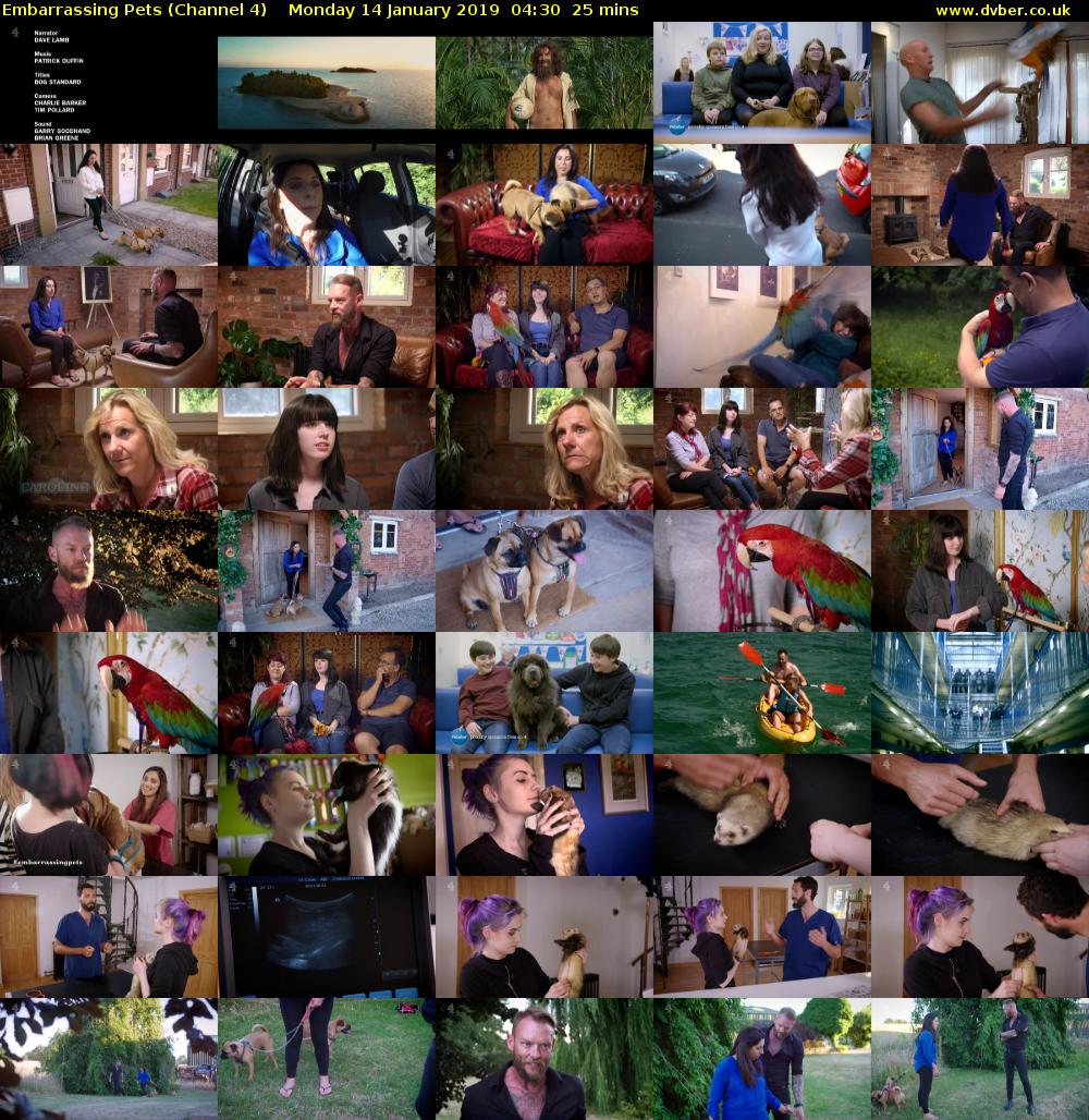 Embarrassing Pets (Channel 4) Monday 14 January 2019 04:30 - 04:55