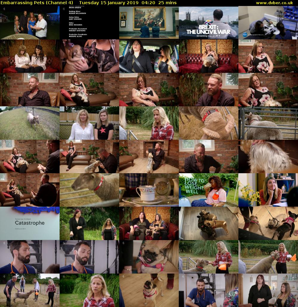 Embarrassing Pets (Channel 4) Tuesday 15 January 2019 04:20 - 04:45