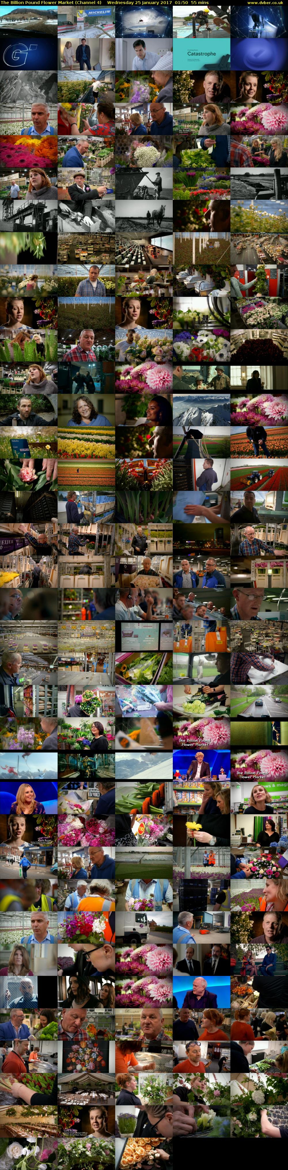 The Billion Pound Flower Market (Channel 4) Wednesday 25 January 2017 01:50 - 02:45